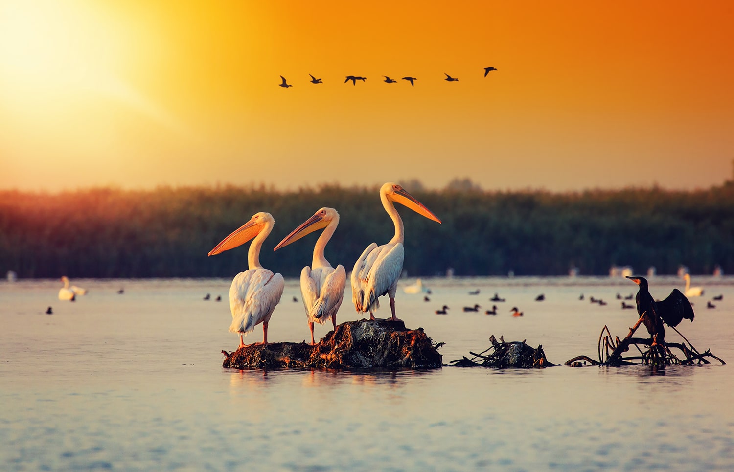 Danube Delta