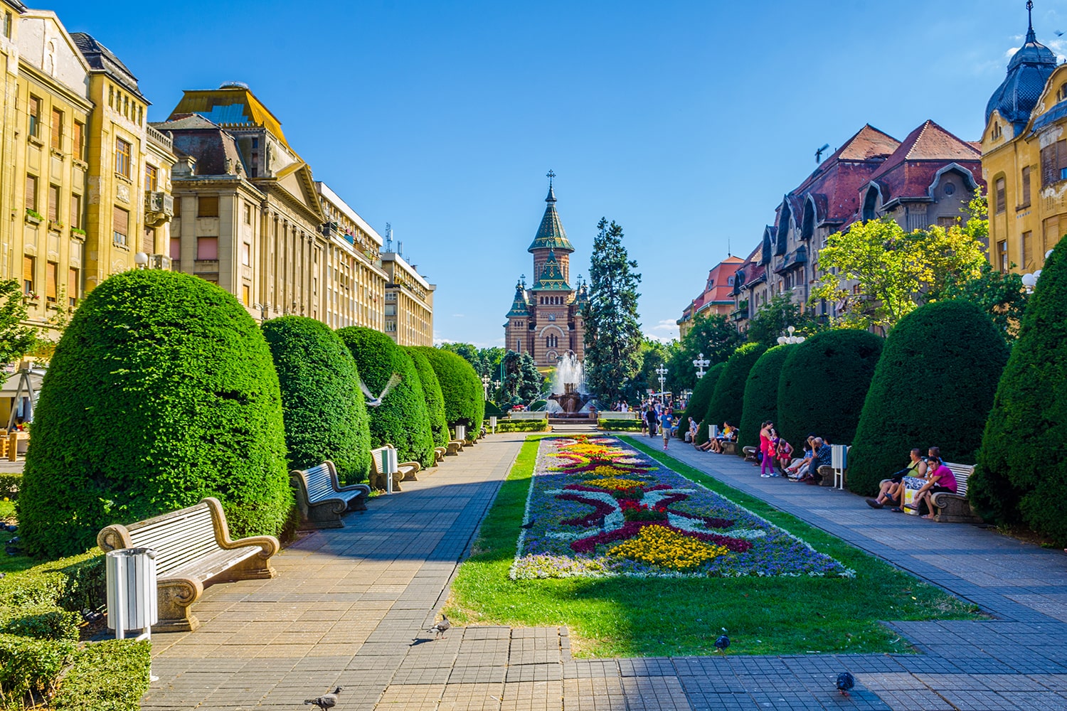 Timisoara