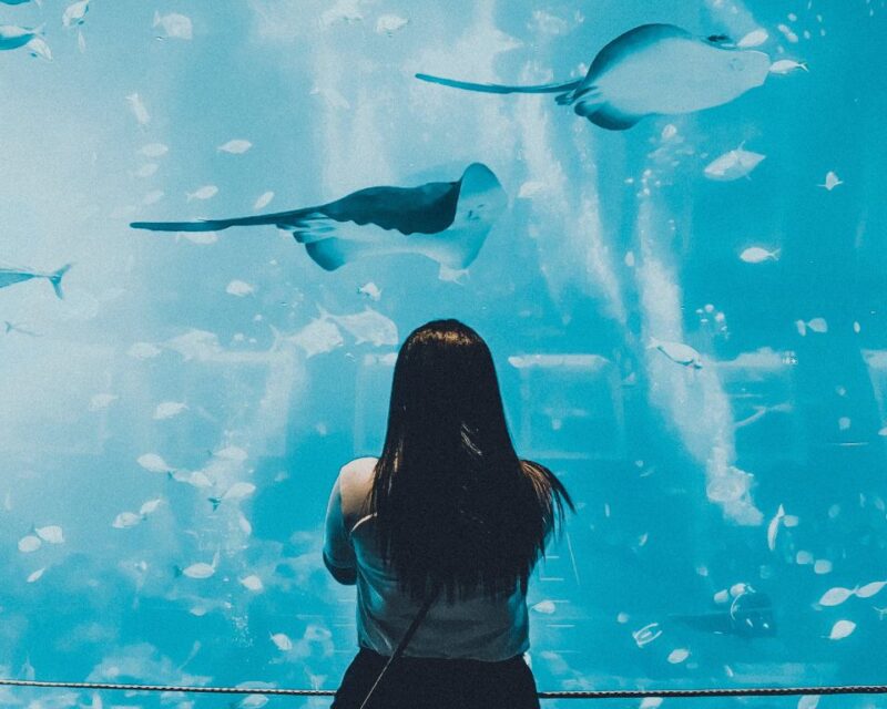 L'Aquàrium Barcelona